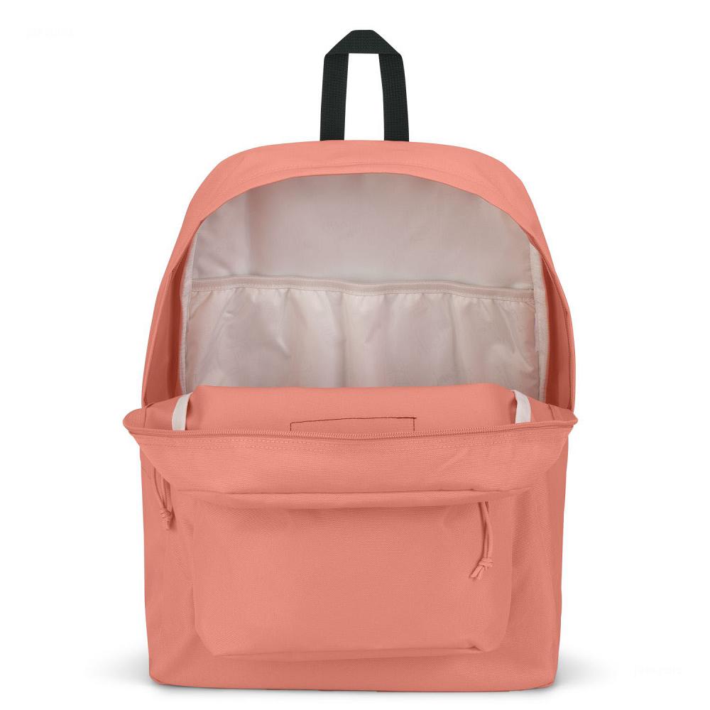 Sac à Dos Ordinateur JanSport SuperBreak? Plus Rose | EWB-09970901